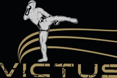 Logo Invictus.cdr